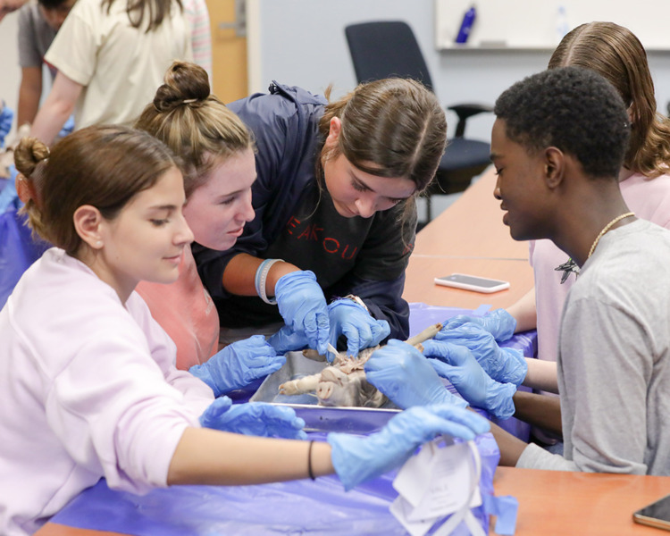 High School Summer Forensic Science | National Student Leadership ...